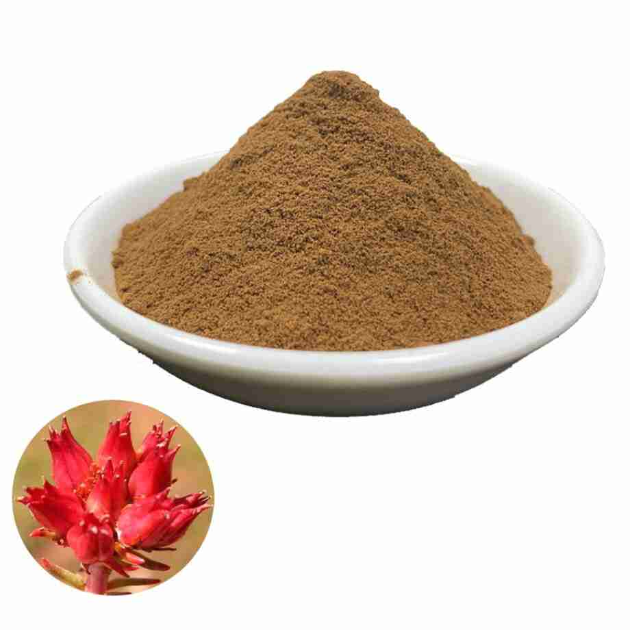 Gold root of Rhodiola Rhodiola Rosea Siberian Dried - Powder