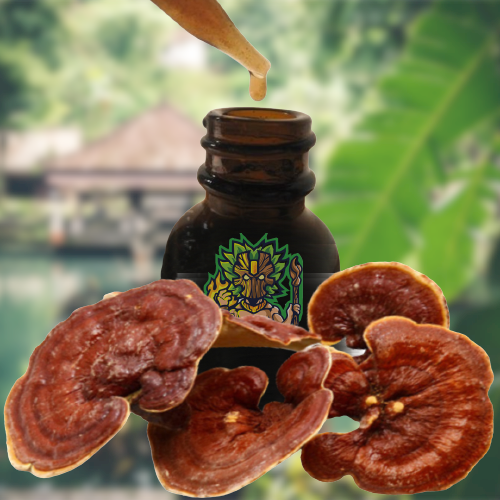 Reishi Ling Zhi (Ganoderma Lucidum) Red 100% BIO - Mother Tincture