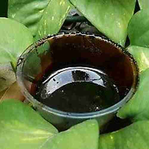 Ayahuasca Banisteriopsis Caapi Sky - Original Chacruna, Chaliponga , Harmala, Mimosa (Paste)