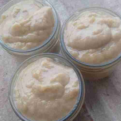 Crema Gel Vita di Fermentati Fervida Micorganismi