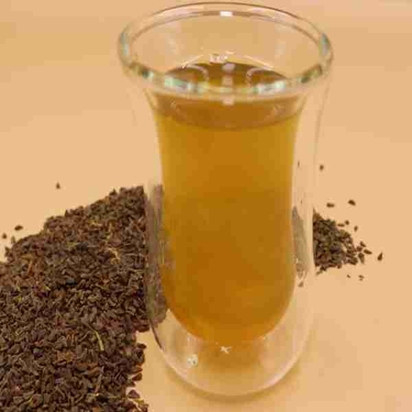 Syrian Rue (Peganum harmala) - Shot