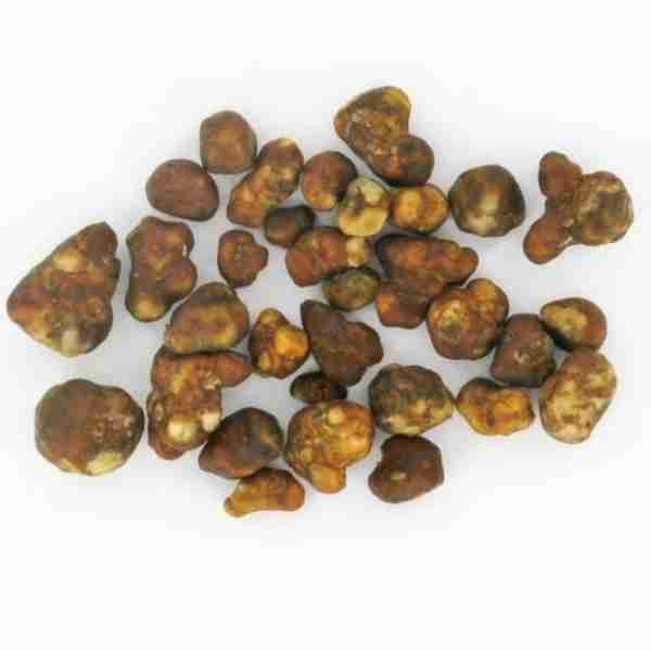 Magic Tartuffs Holland Spiritual Dried - Microdose and Ceremony