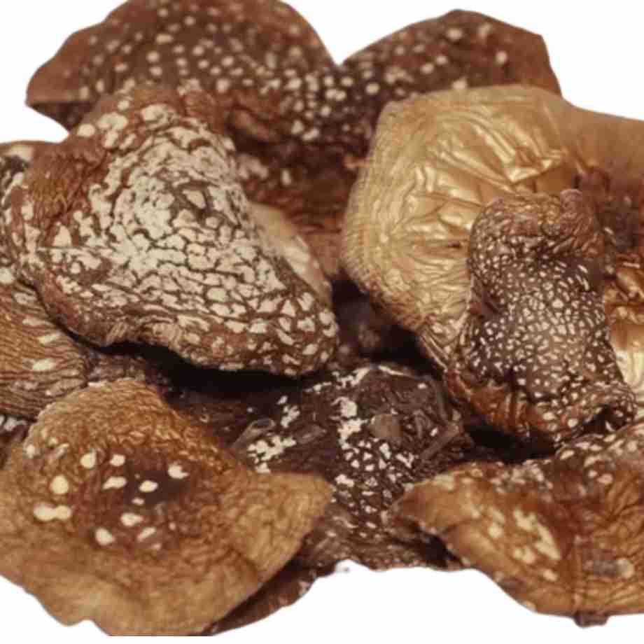 Amanita Phanterina Dried Cerimona and Microdosing