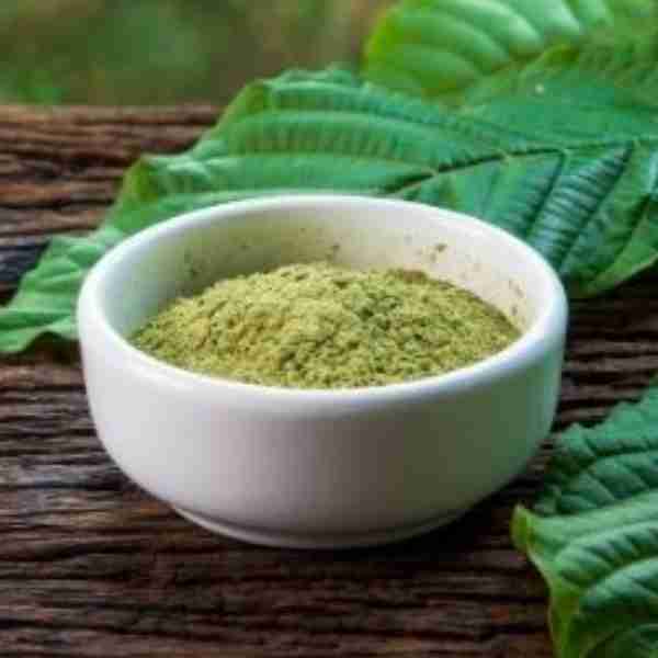Kratom Maeng Da Green Mitragyna Speciosa