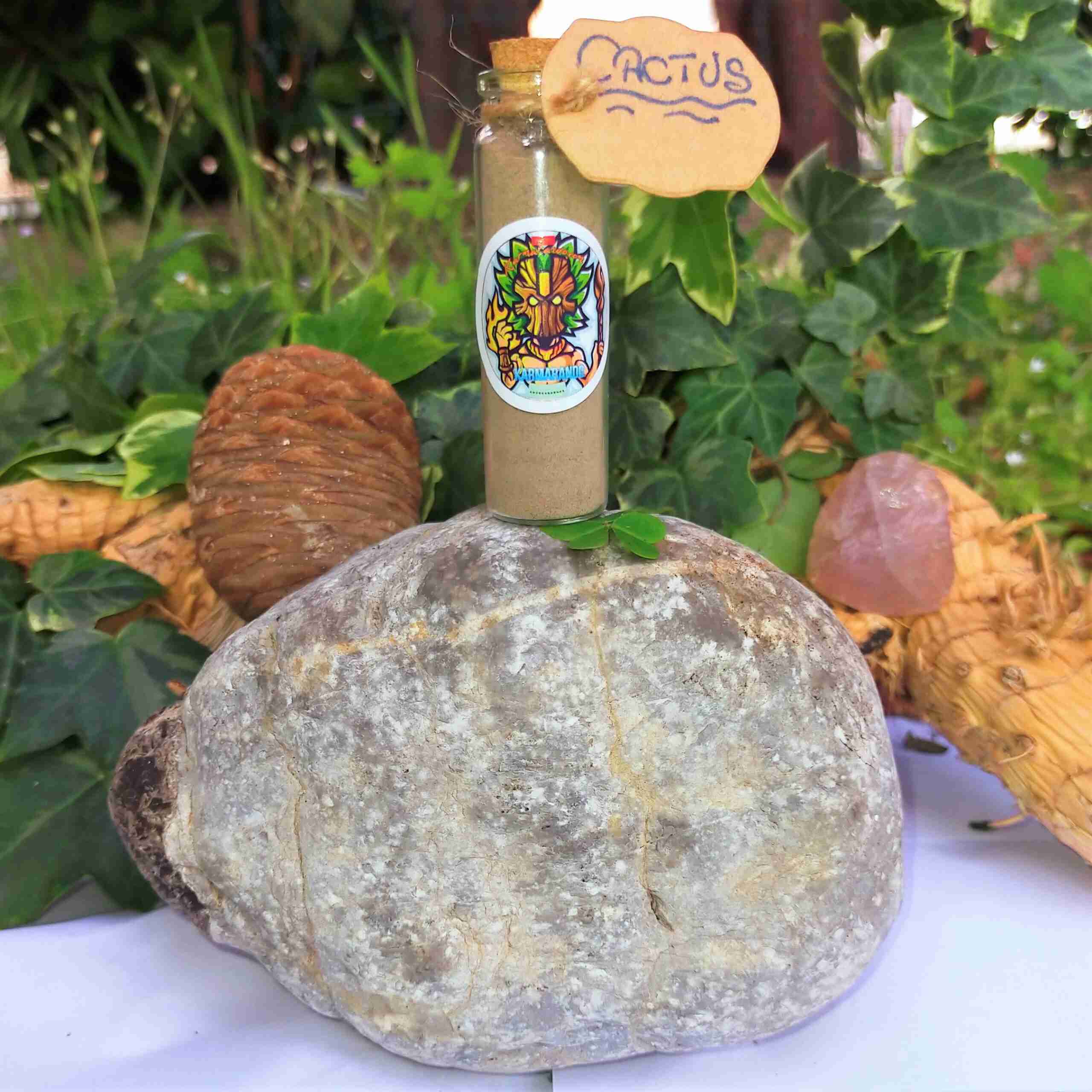 Rapé Cactus - Connection and emotional Intelligence