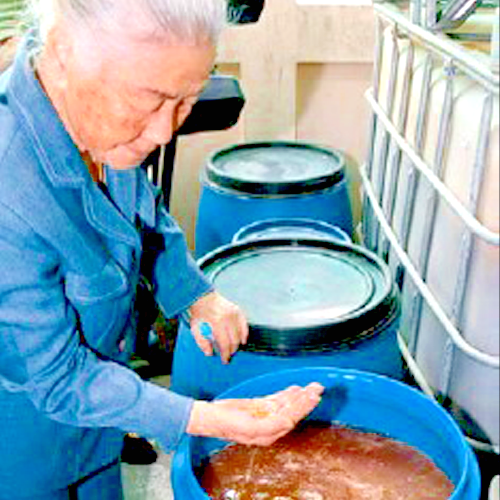 MIX di 6 Fermentati Fervida - 10 anni