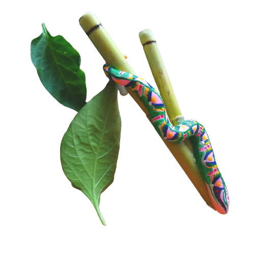 Kuripe Grande Serpente - Mixcolor Primordiale in Bamboo